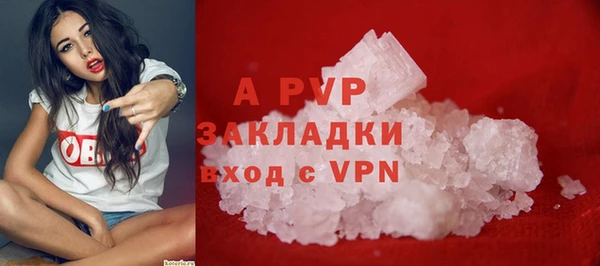 спиды Каменка