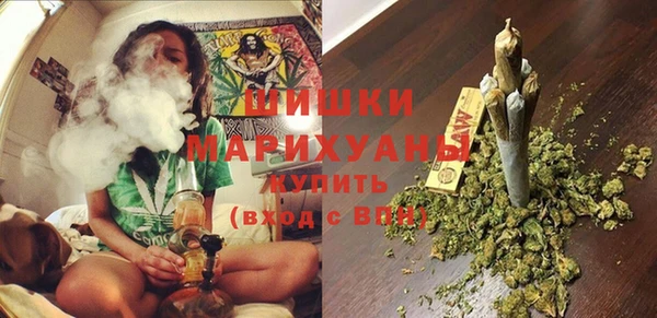 спиды Каменка