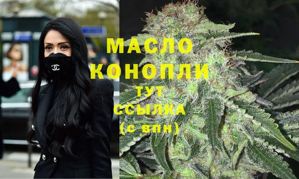 спиды Каменка